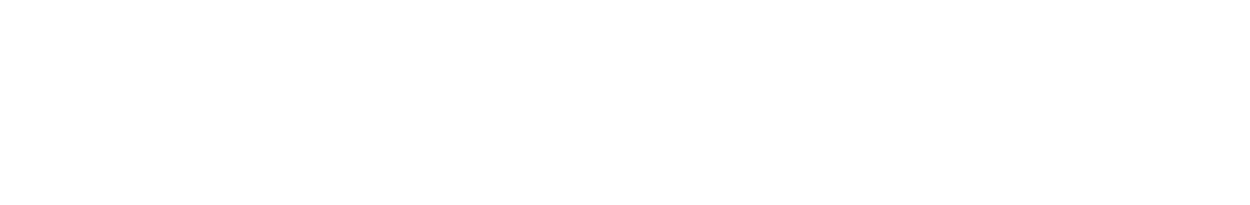 Logo_Horz_White
