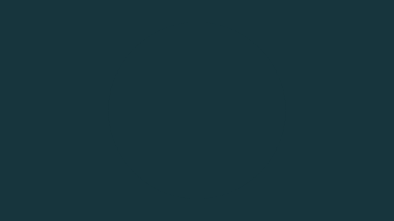 Solid Turquoise Banner-1